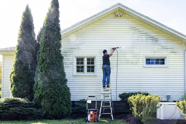 Best Spring Cleaning  in Bensley, VA